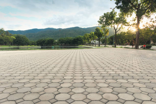 Best Decorative Driveway Pavers  in Ettrick, VA