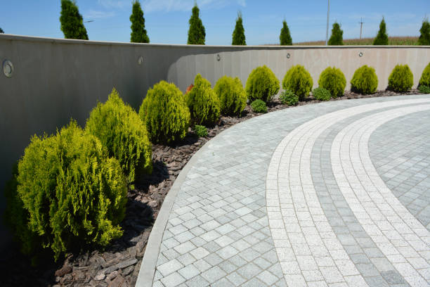 Best Commercial Driveway Pavers  in Ettrick, VA