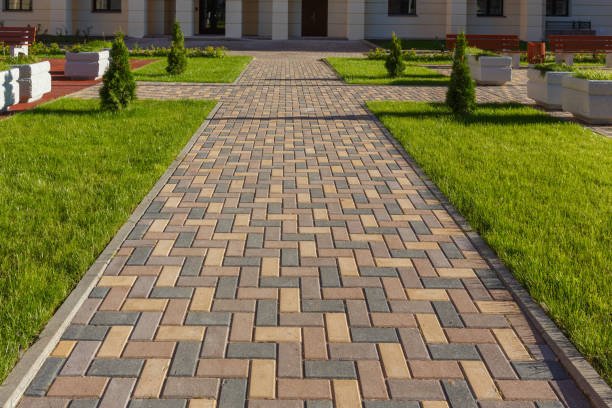 Best Custom Driveway Pavers  in Ettrick, VA